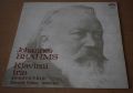 Johannes Brahms, Sukovo Trio