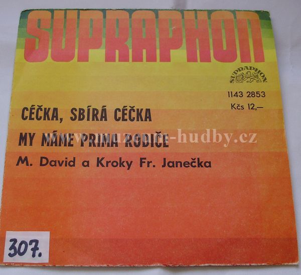 Kroky Františka Janečka & Michal David