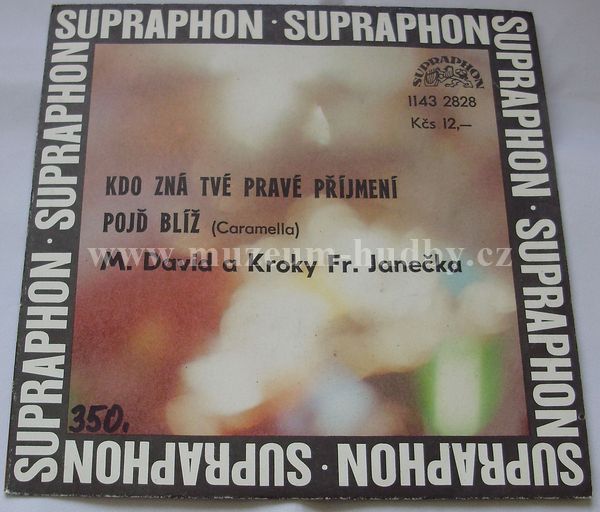 Kroky Františka Janečka & Michal David