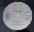 Kate Bush-Big Sky