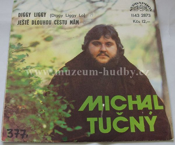 Michal Tučný