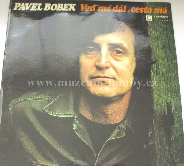 Pavel Bobek