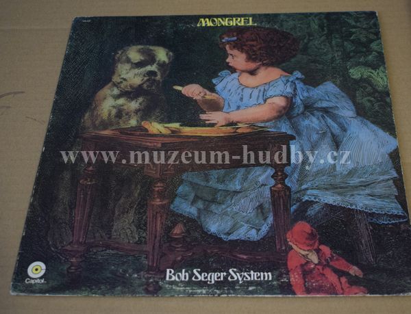 Bob Seger System