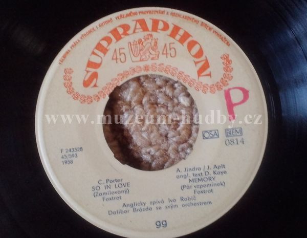 Ivo Robič / Dalibor Brázda se svým orchestrem