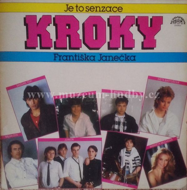 Kroky Františka Janečka