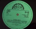 Karel Gott-I Love You For Sentimental Reasons