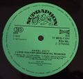 Karel Gott-I Love You For Sentimental Reasons