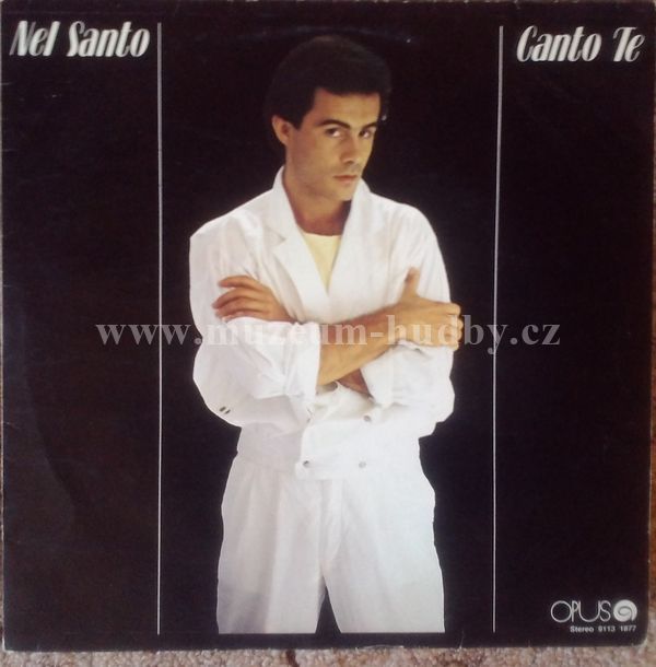Nel Santo