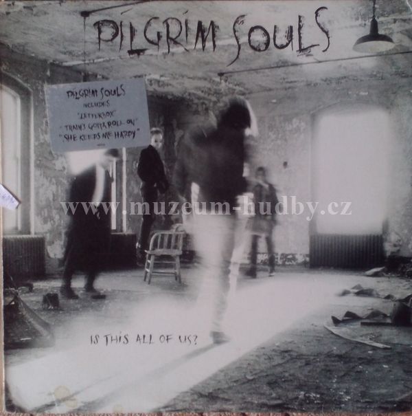 Pilgrim Souls