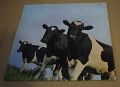 Pink Floyd-Atom Heart Mother