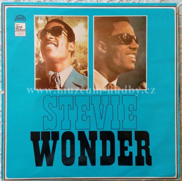 Stevie Wonder