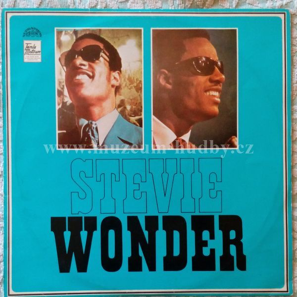 Stevie Wonder