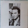 Sting-...Nothing Like The Sun