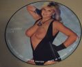 Samantha Fox-Limited Edition Interview Picture Disc