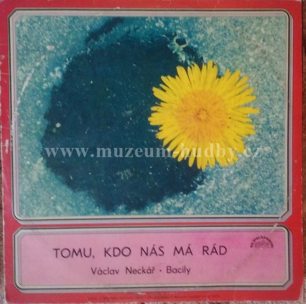Václav Neckář + Bacily