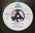 Bay City Rollers-Rock And Roll Love Letter / Shanghai'd In Love