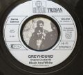 Greyhound-Black And White / Moonriver