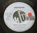 Greyhound-Black And White / Sand In Your Shoes