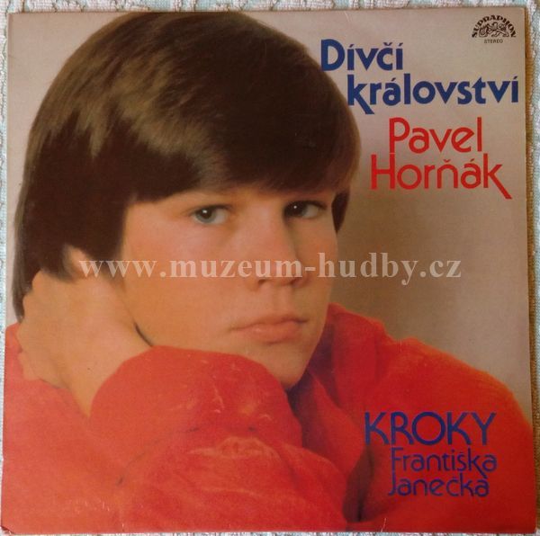 Pavel Horňák • Kroky Františka Janečka