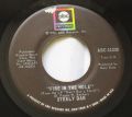 Steely Dan-Do It Again / Fire In The Hole
