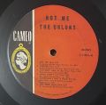 The Orlons-Not Me