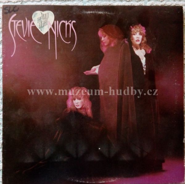 Stevie Nicks