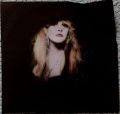 Stevie Nicks-The Other Side Of The Mirror