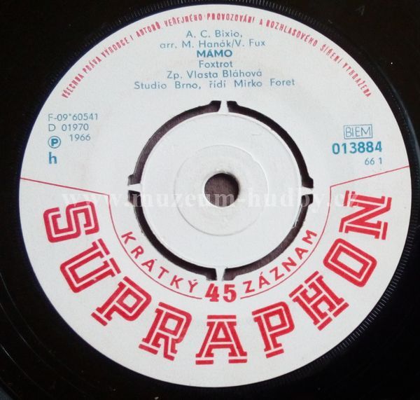 Vlasta Bláhová / Pavel Novák