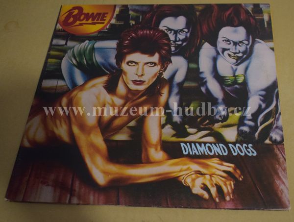David Bowie