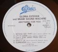 Gloria Estefan And Miami Sound Machine-Anything For You