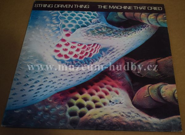 String Driven Thing ‎