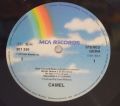 Camel-Camel