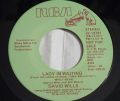 David Wills-Lady In Waiting / First Time Feeling