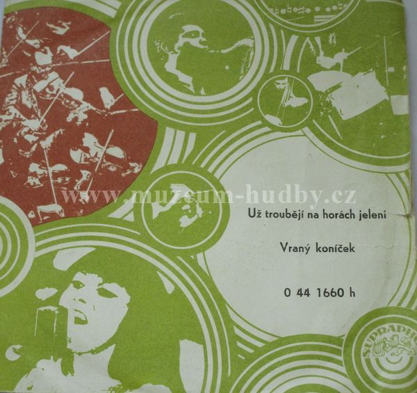 Pošumavská Dechovka Lesanka