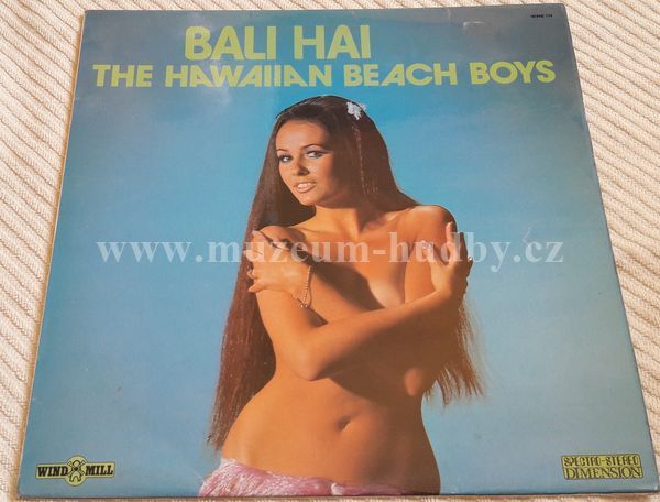 The Hawaiian Beach Boys