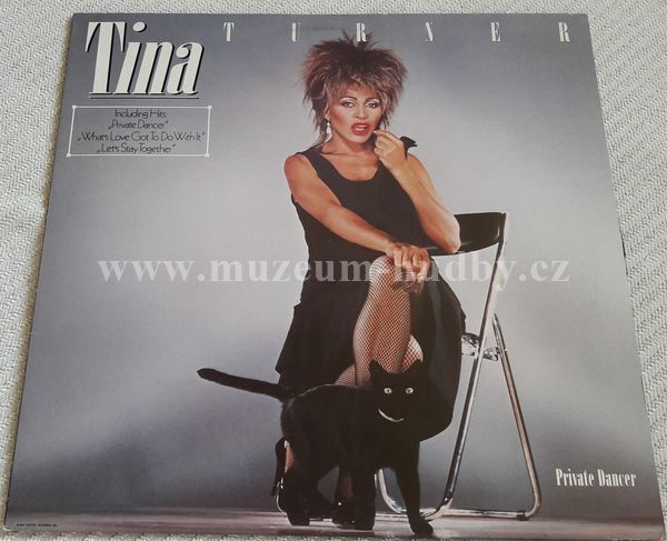 Tina Turner ‎