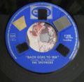 The Spotnicks-Drina / Bach Goes To Sea