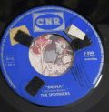 The Spotnicks-Drina / Bach Goes To Sea