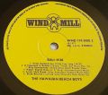 The Hawaiian Beach Boys-Bali Hai