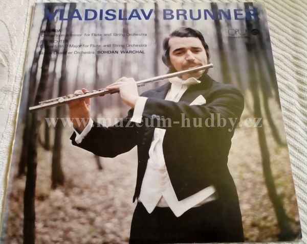 Vladislav Brunner