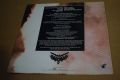 Wendy O. Williams-WOW