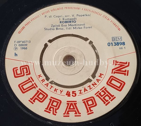 Eva Martinová / Vlasta Bláhová