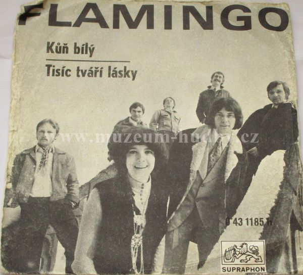 Flamingo / Marie Rottrová