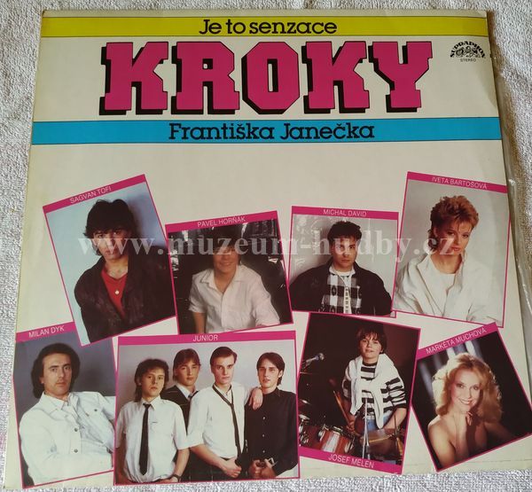 Kroky Františka Janečka