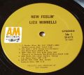 Liza Minnelli-New Feelin'