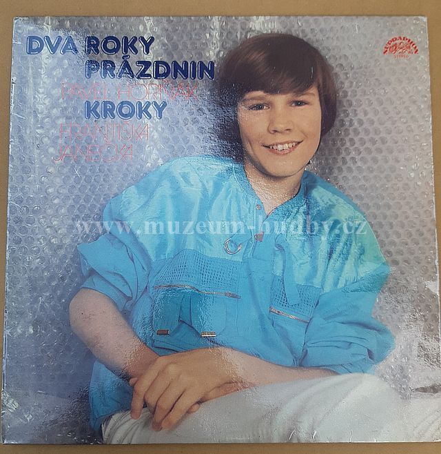 Pavel Horňák, Kroky Františka Janečka