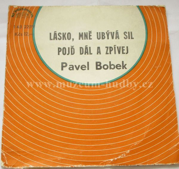 Pavel Bobek
