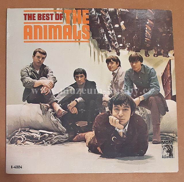 The Animals