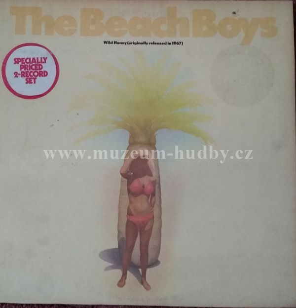 The Beach Boys ‎