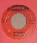 Fever Tree-Hey Mister / I Can Beat Your Drum